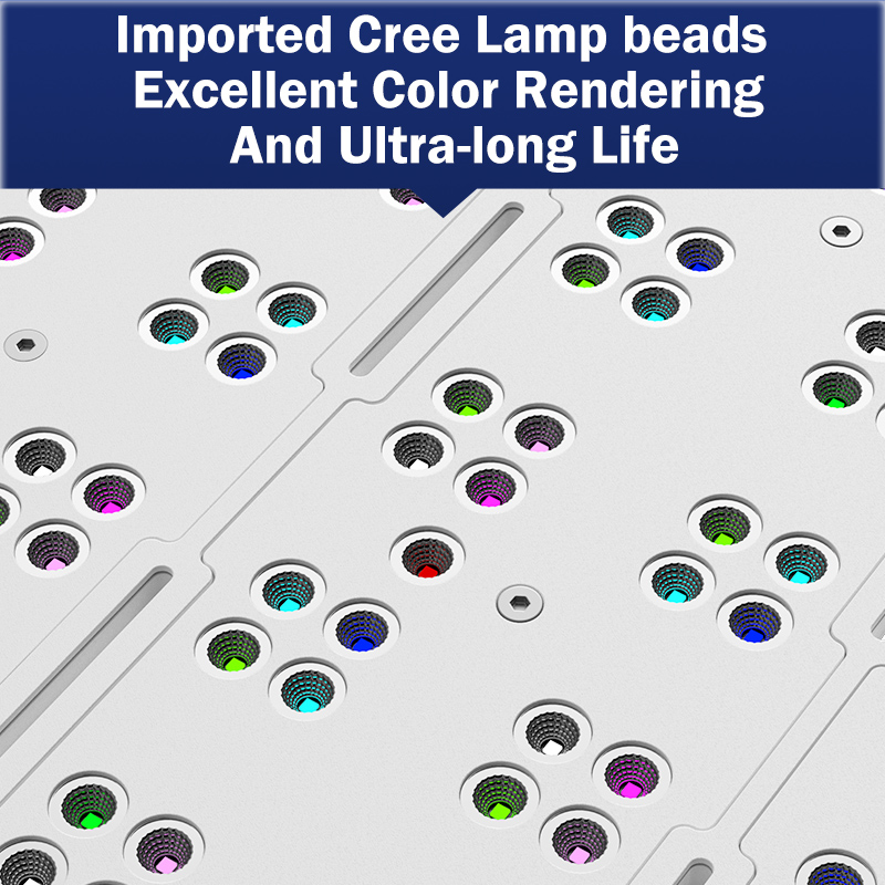Marine Aquarium & Regional Centre Reviews - Sıcak KASSRAY T169/T215 CREE'li LED Tam