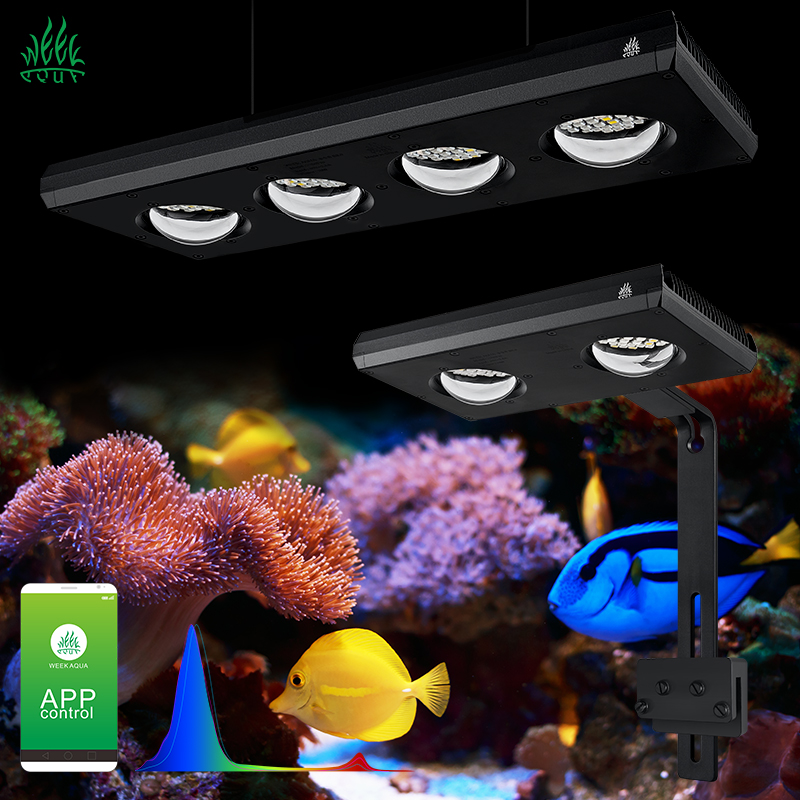 Aquarium Marine Blue - ZXY Çok Satan WEEKAQUA Z250 Z400sea