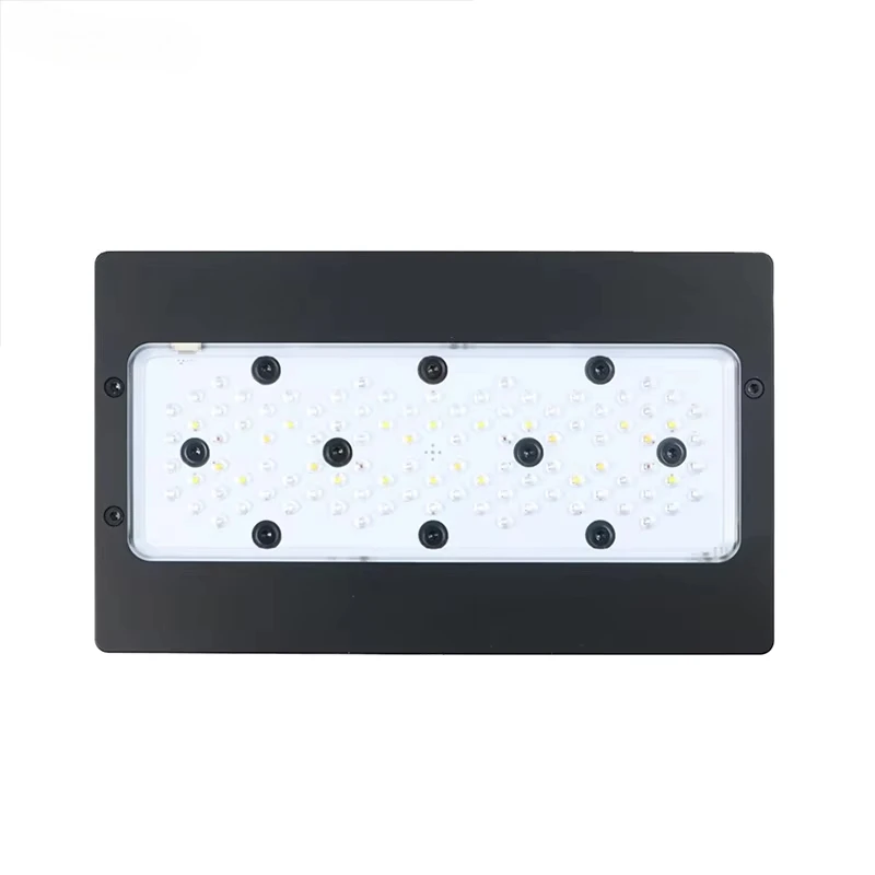 Aquarium Marine Blue - A8Pro Max/Mavi 240W CREE Işık Yayan