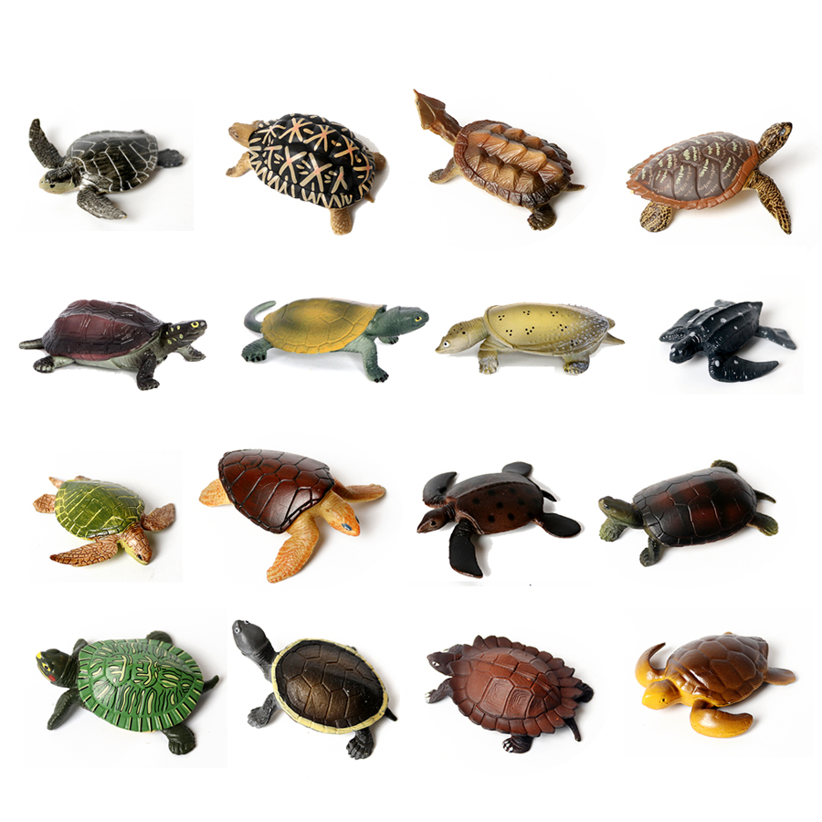 Marine Aquarium & Regional Centre Reviews - Gerçekçi minyatürleri deniz yaşamı deniz kaplumbağası
