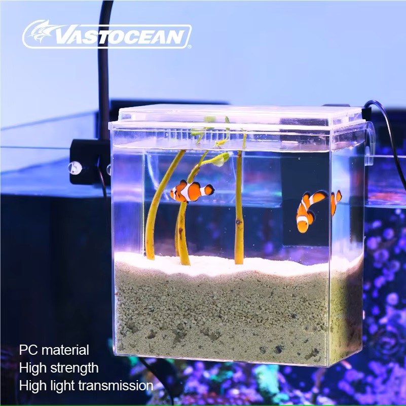 VASTOCEAN Balık Tankı Harici B - Protein Skimmer Hang On incelemesi ve fiyatı