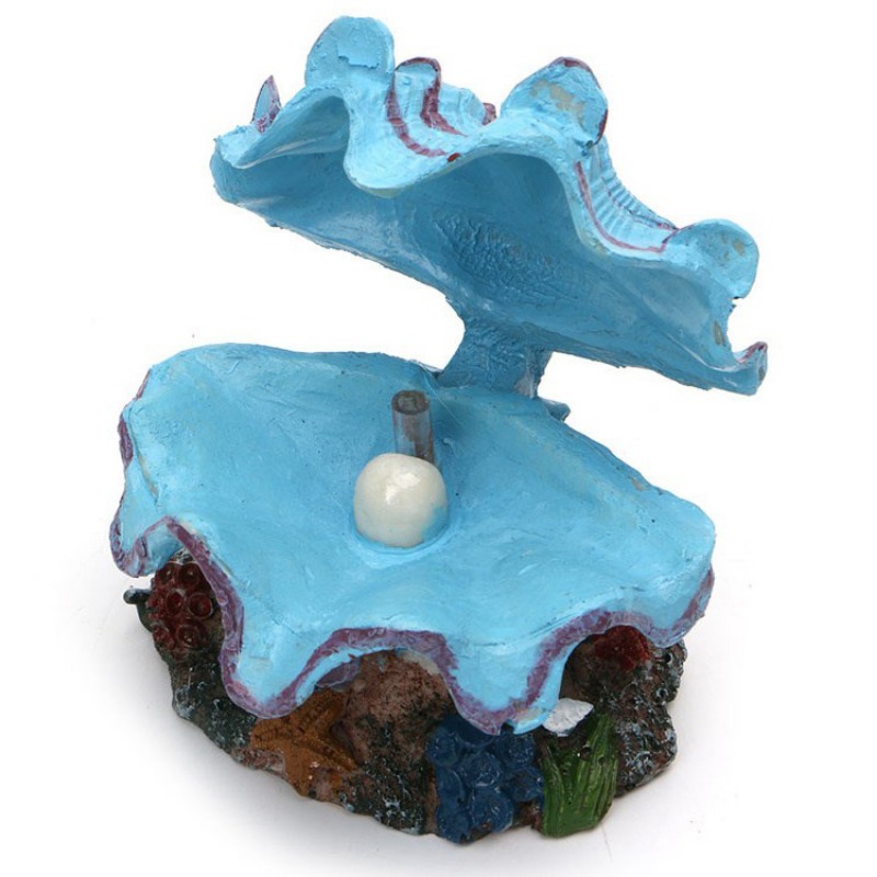 1 adet akvaryum inci kabuk hav - Aquarium Marine Stone incelemesi ve fiyatı