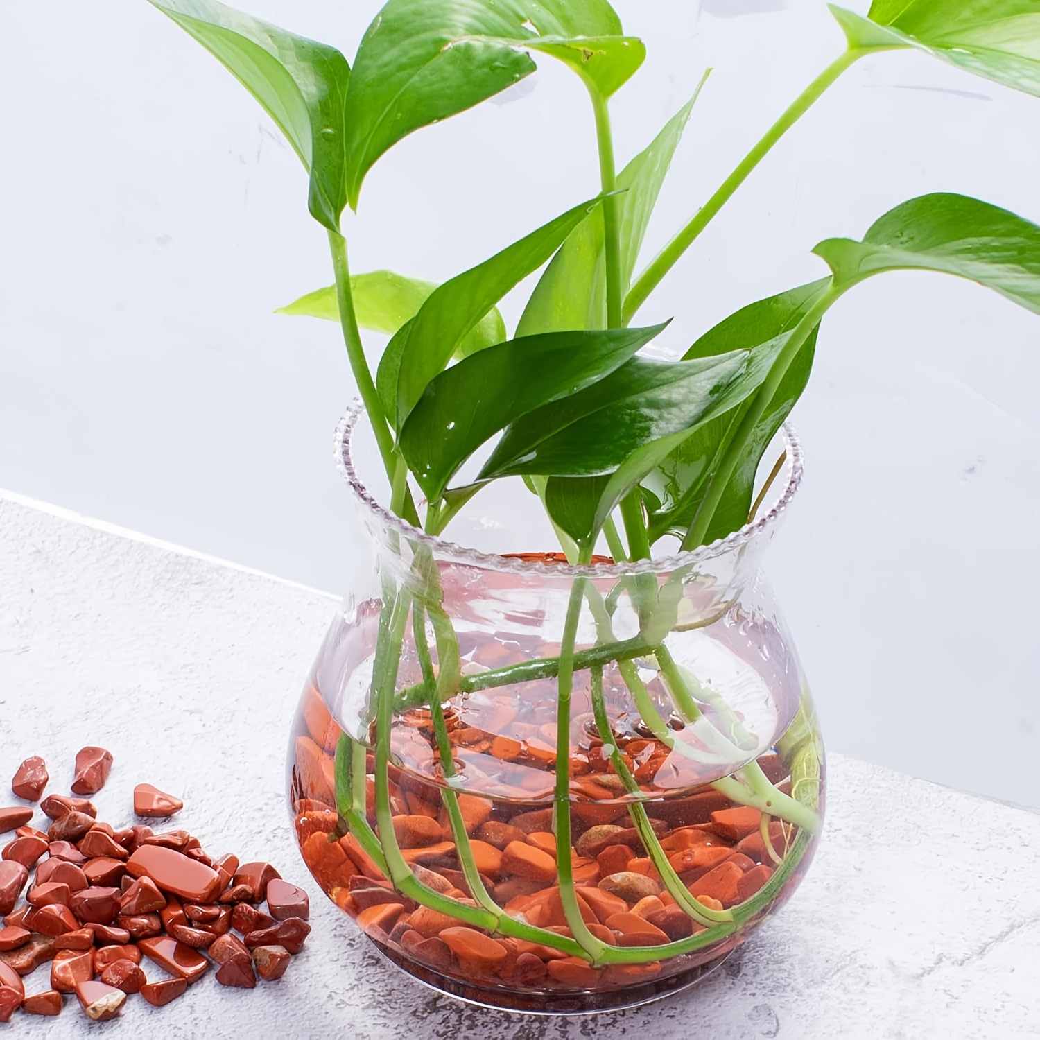 Kırmızı jasper dövülmüş taş -  - Aquarium Marine Stone incelemesi ve fiyatı