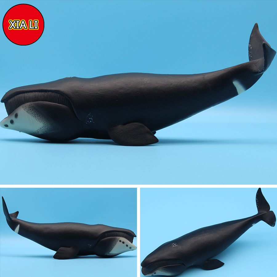 Okyanus Deniz Yaşamı Simülasyo - Aquarium Marine Blue incelemesi ve fiyatı