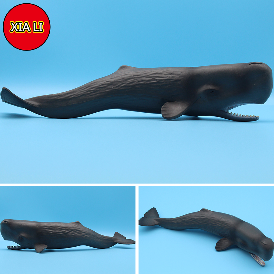 Okyanus Deniz Yaşamı Simülasyo - Aquarium Marine Blue incelemesi ve fiyatı