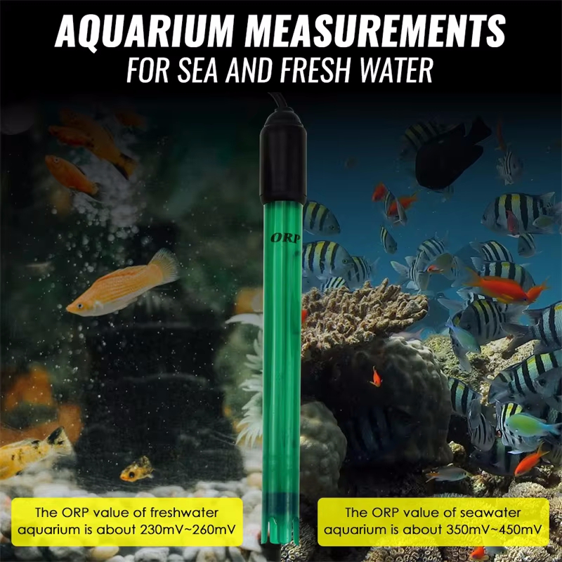 Profesyonel ORP Elektrot Probu - Marine Aquarium Par Meter incelemesi ve fiyatı