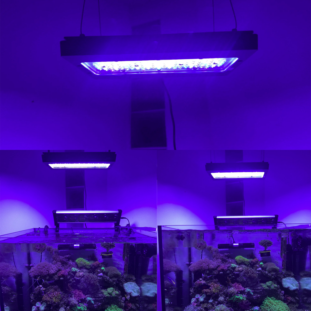 A8se Pro II MAX Mavi 240W Deni - Aquarium Marine Blue incelemesi ve fiyatı