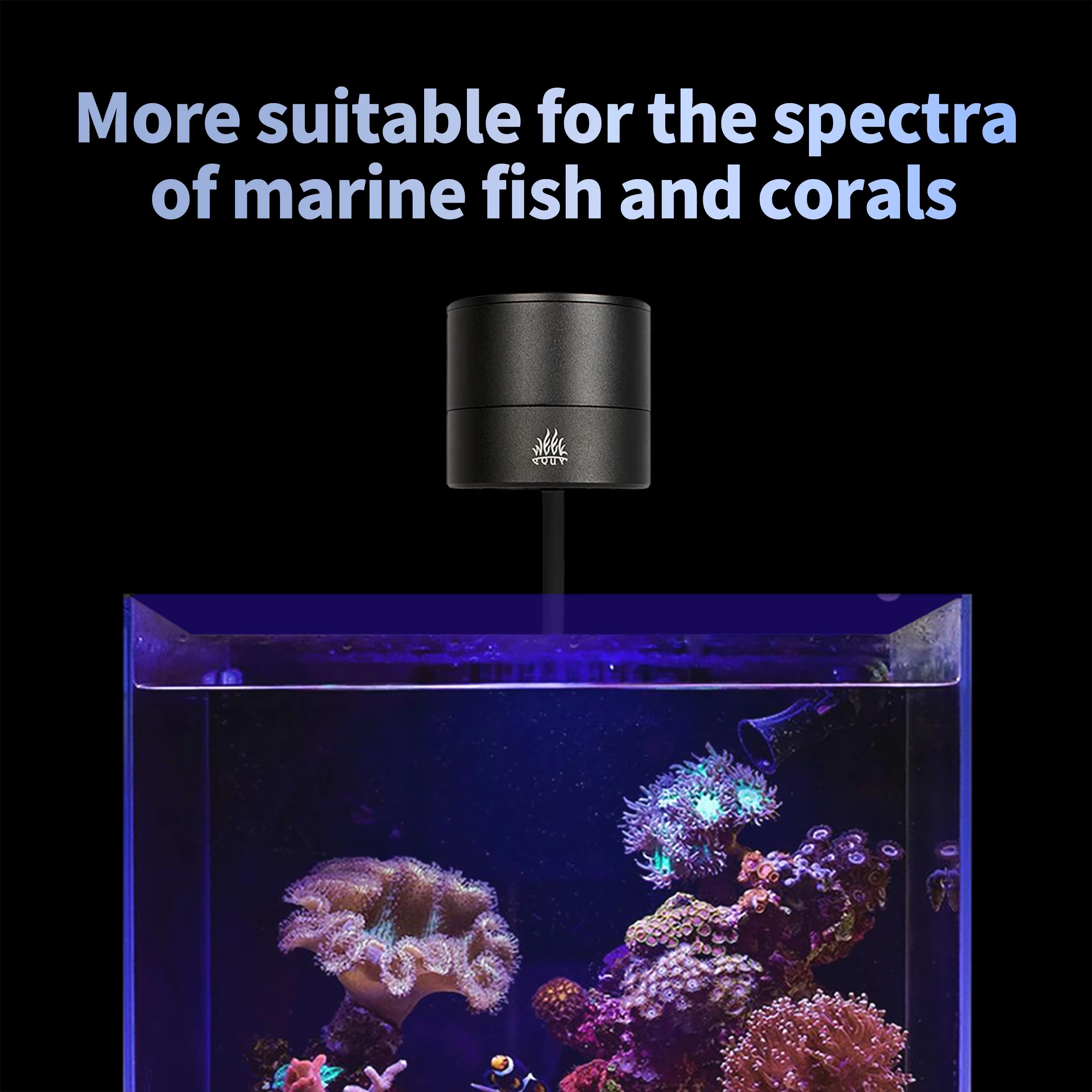 HAFTA AQUA Akvaryum Işık Üreti - Aquarium Marine Blue incelemesi ve fiyatı
