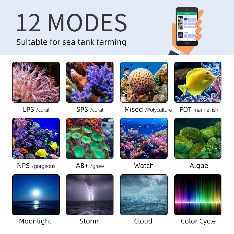 ZXY Çok Satan WEEKAQUA Z250 Z4 - Aquarium Marine Blue incelemesi ve fiyatı