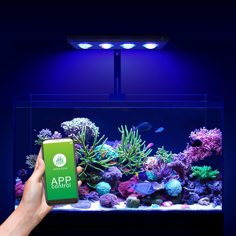 ZXY Çok Satan WEEKAQUA Z250 Z4 - Aquarium Marine Blue incelemesi ve fiyatı