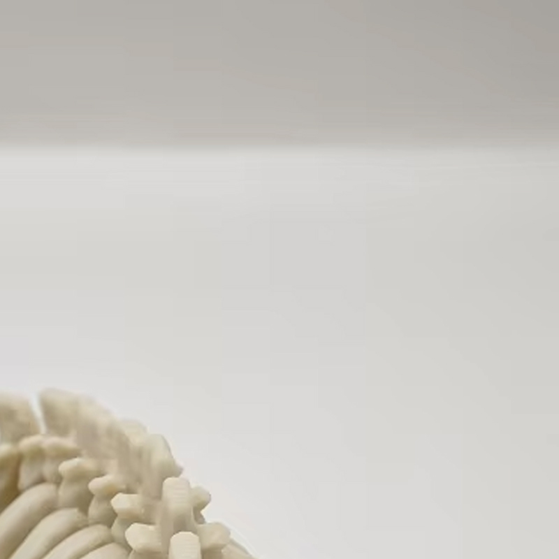 1 adet gerçekçi Mosasaur iskel - Marine Aquarium Used incelemesi ve fiyatı