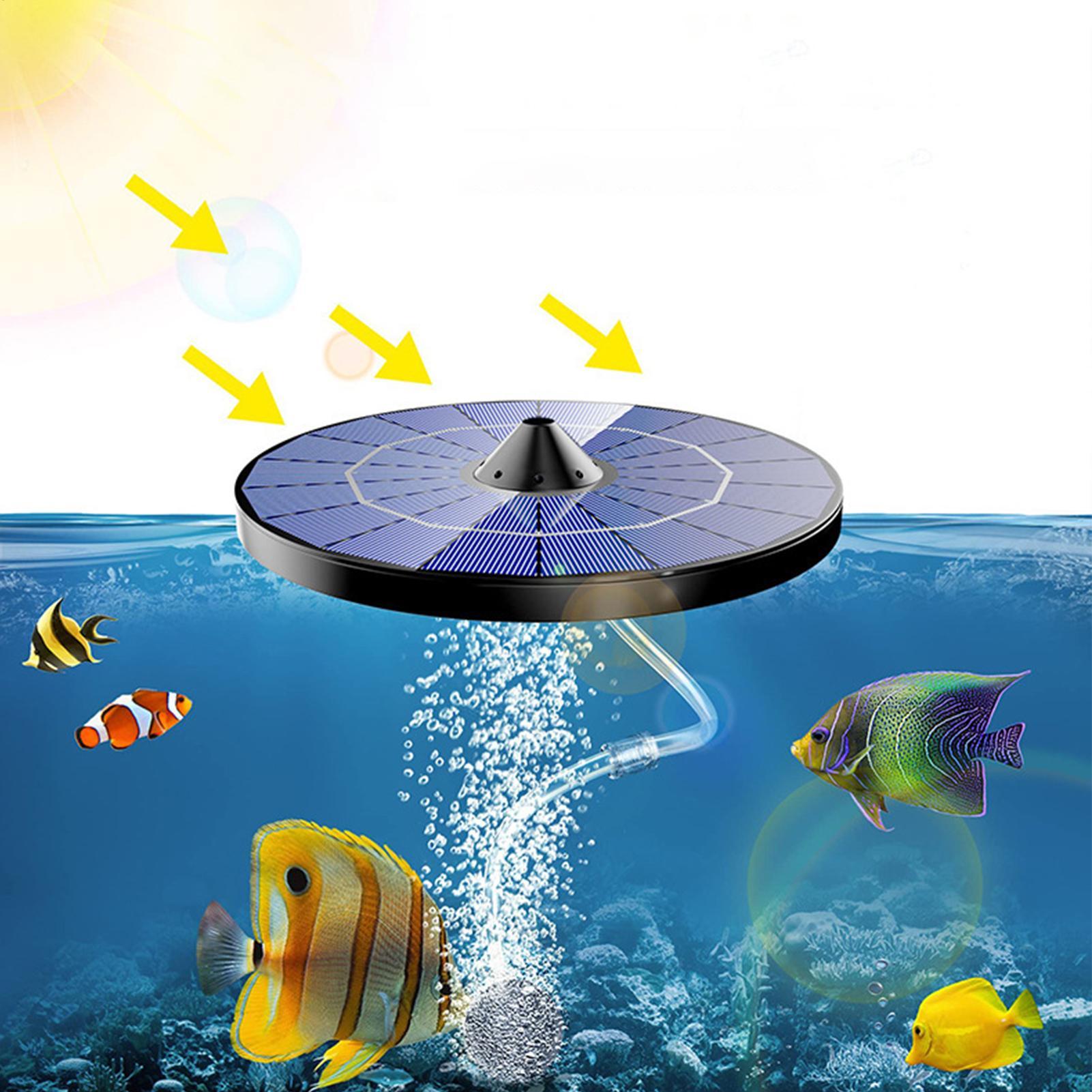 Güneş enerjili havuz havalandı - Aquarium Marine Stone incelemesi ve fiyatı