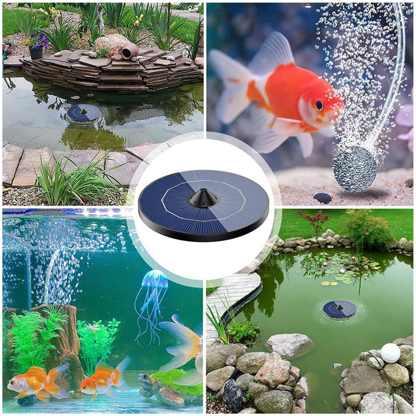 Güneş enerjili havuz havalandı - Aquarium Marine Stone incelemesi ve fiyatı