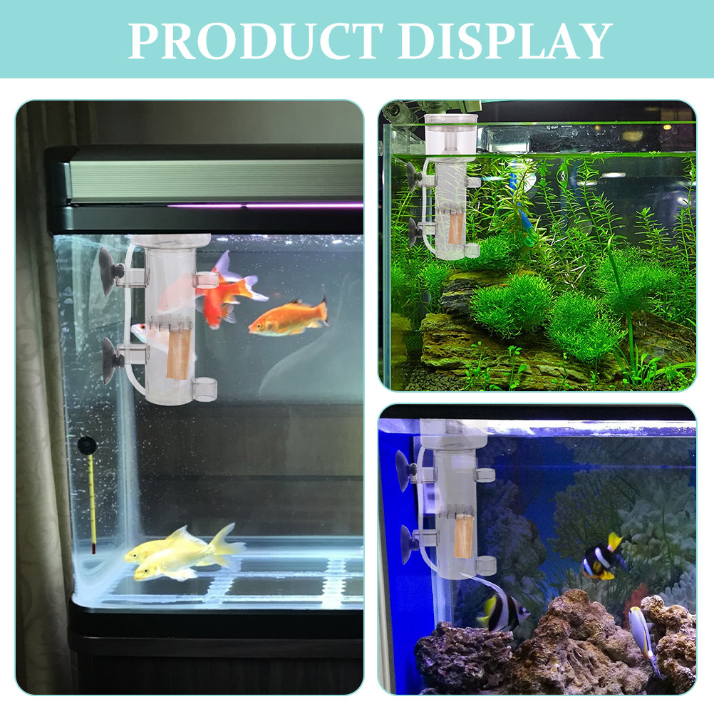 Tuzlu Su Balık Tankı Deniz Aks - Marine Aquarium & Regional Centre Reviews incelemesi ve fiyatı