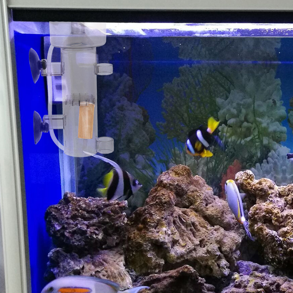 Tuzlu Su Balık Tankı Deniz Aks - Marine Aquarium & Regional Centre Reviews incelemesi ve fiyatı