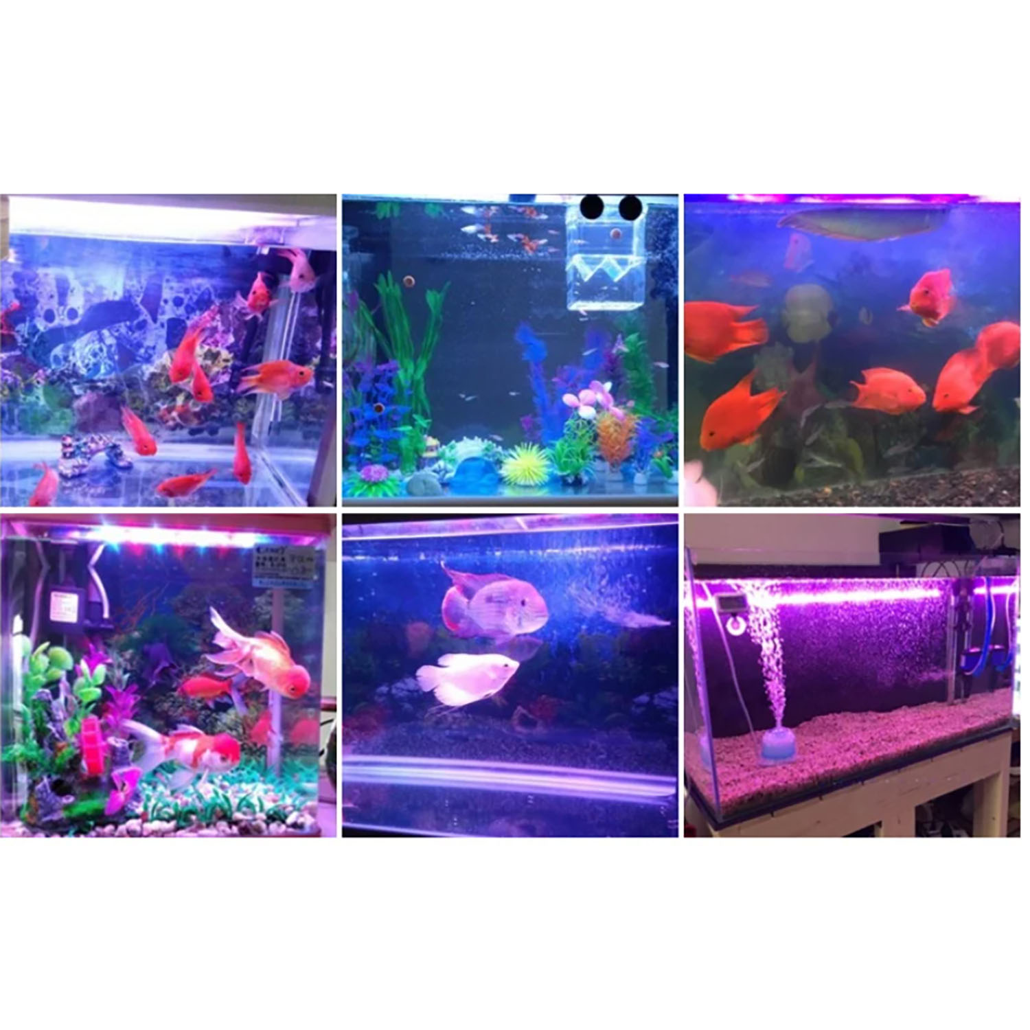 50W 60W 70W 100W RGB 26-28V Yü - Aquarium Marine Blue incelemesi ve fiyatı