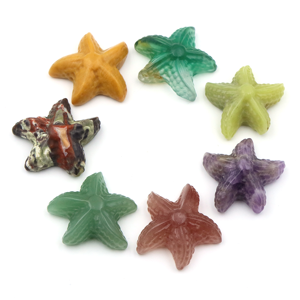 35mm Denizyıldızı Şekli Heykel - Marine Aquarium & Regional Centre Reviews incelemesi ve fiyatı