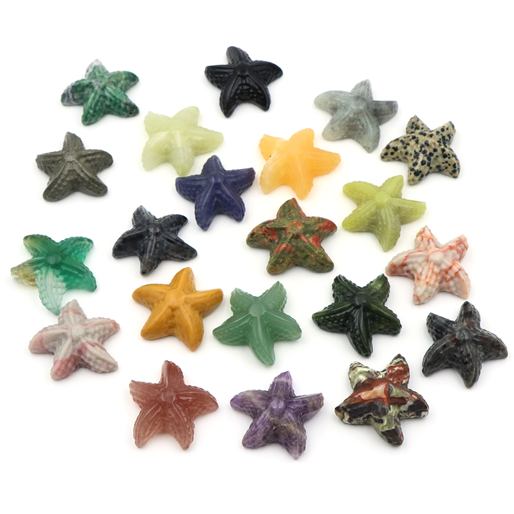 35mm Denizyıldızı Şekli Heykel - Marine Aquarium & Regional Centre Reviews incelemesi ve fiyatı