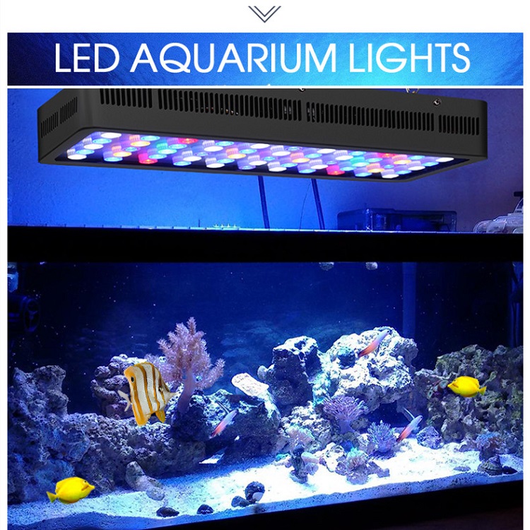 BT Kablosuz Kontrol DIY Spektr - Marine Aquarium Used incelemesi ve fiyatı